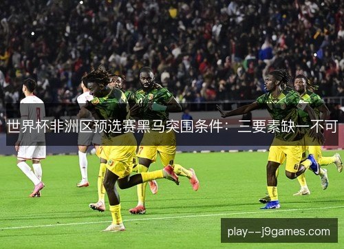 世界杯非洲区预选赛黑马突围条件：三要素缺一不可